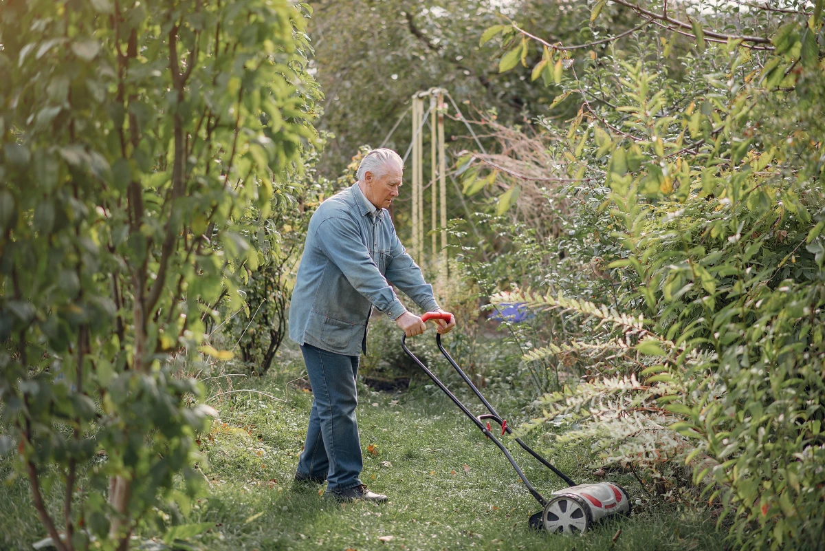 Les obligations des propriétaires en matière d'entretien des espaces verts