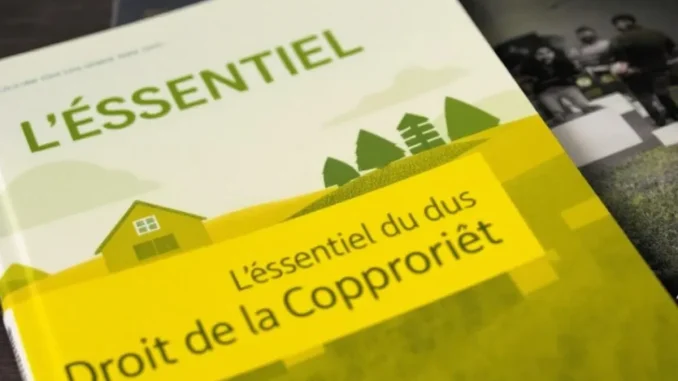 lessentiel-du-droit-